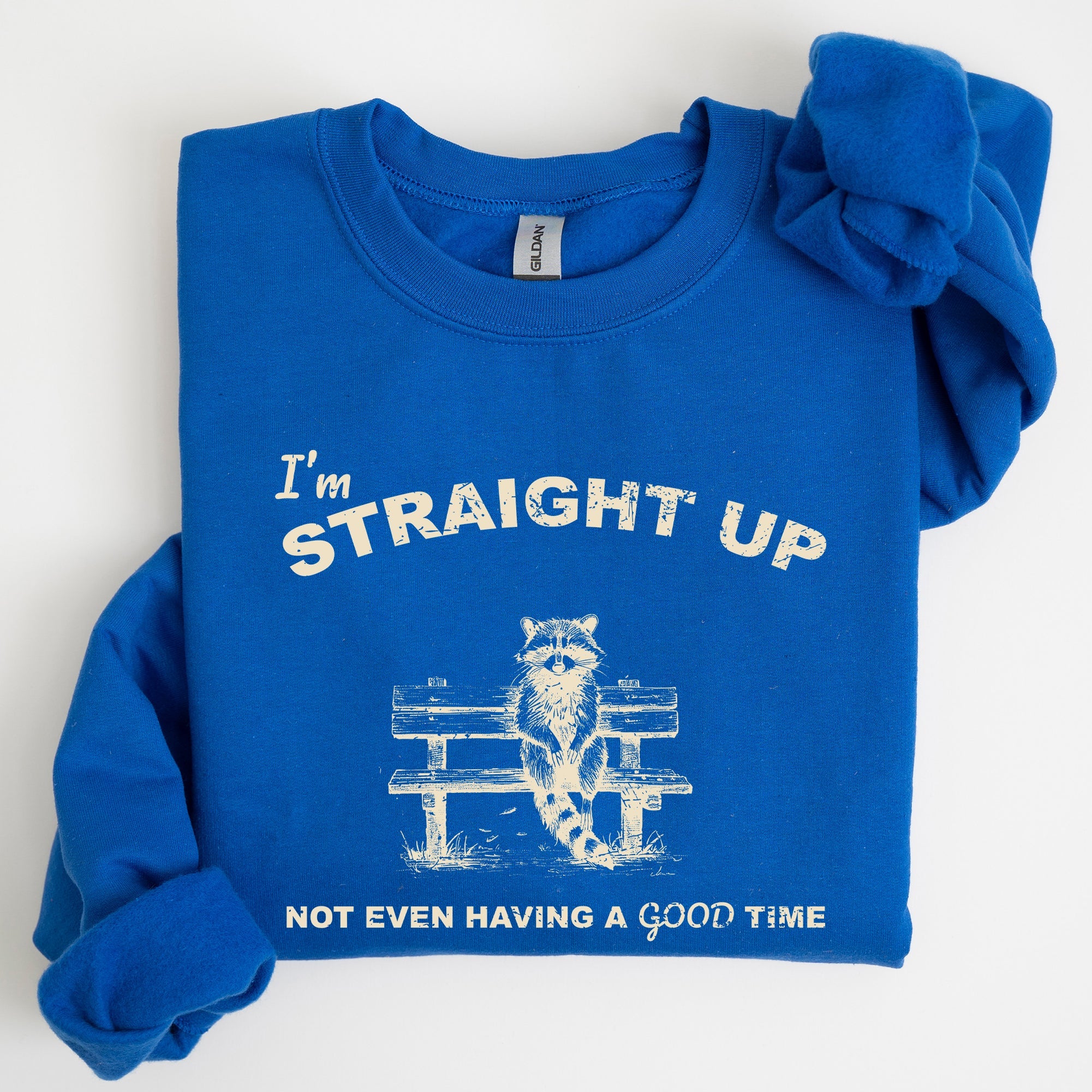 Not Having A Good Time Raccoon Meme Expression Of Internet Humor Edition Sweatshirt
