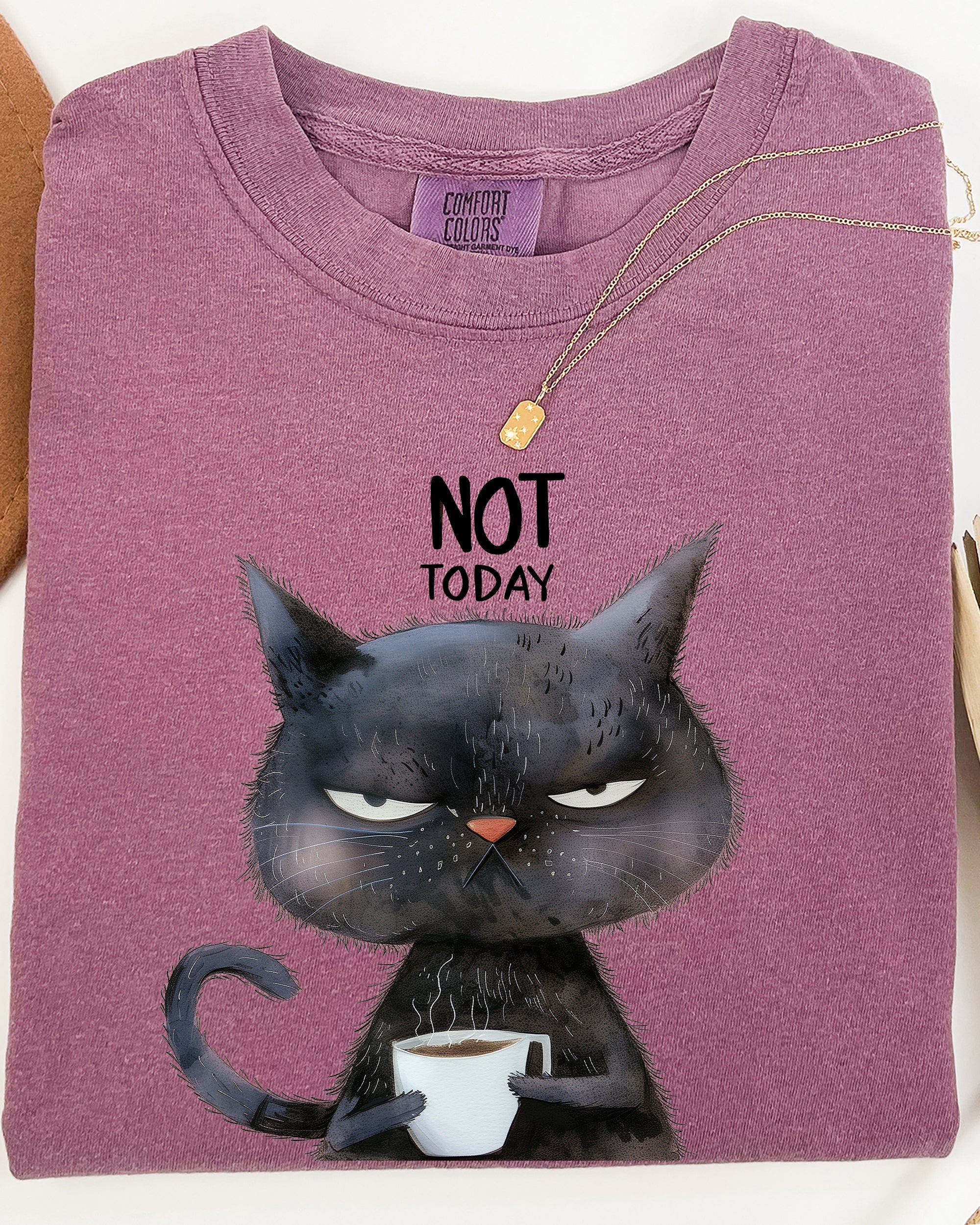 Not Today Cat Grumpy Coffee Meme Morning Mood For Slow Mornings Comfort Colors Tee