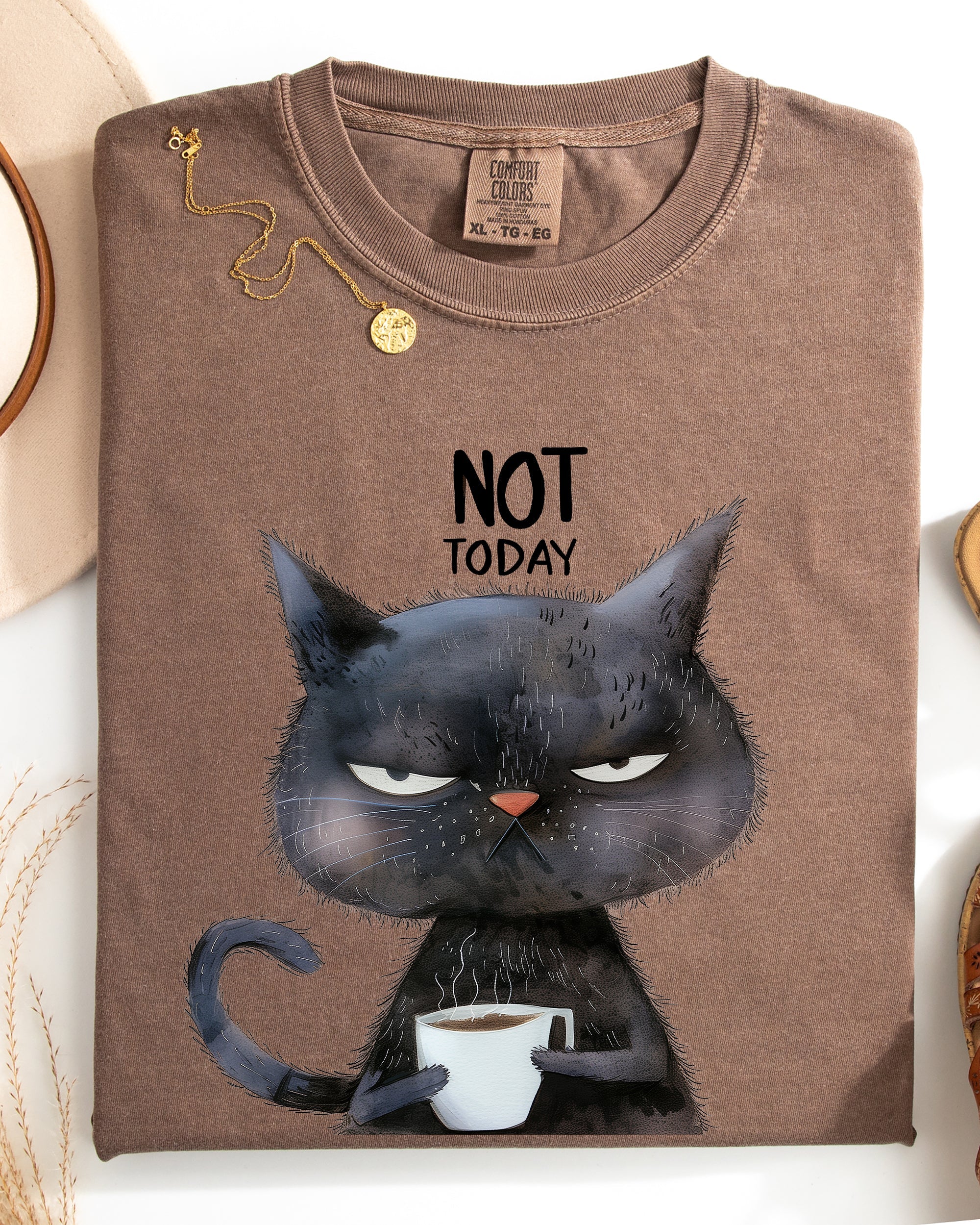 Not Today Cat Grumpy Coffee Meme Morning Mood For Slow Mornings Comfort Colors Tee