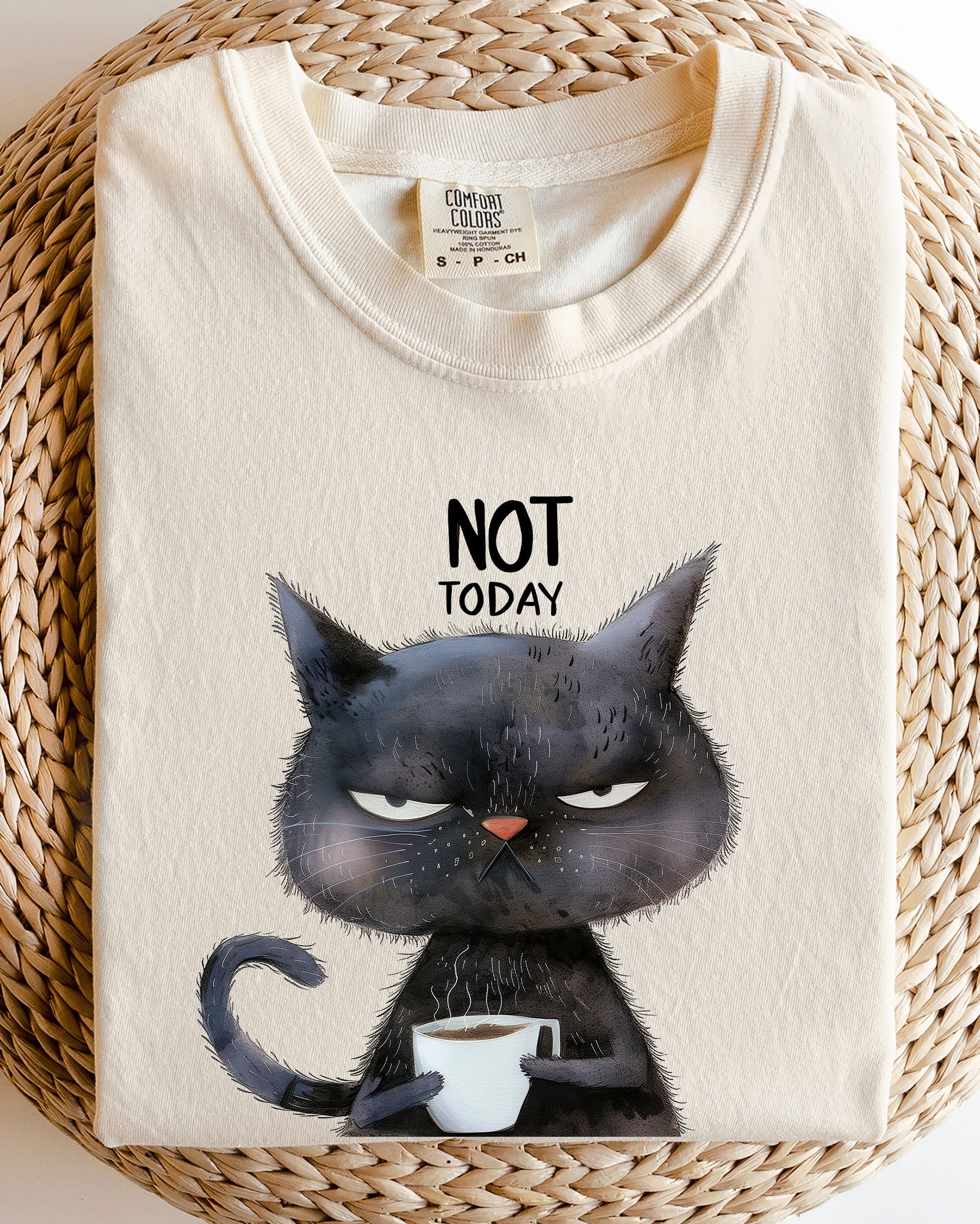 Not Today Cat Grumpy Coffee Meme Morning Mood For Slow Mornings Comfort Colors Tee