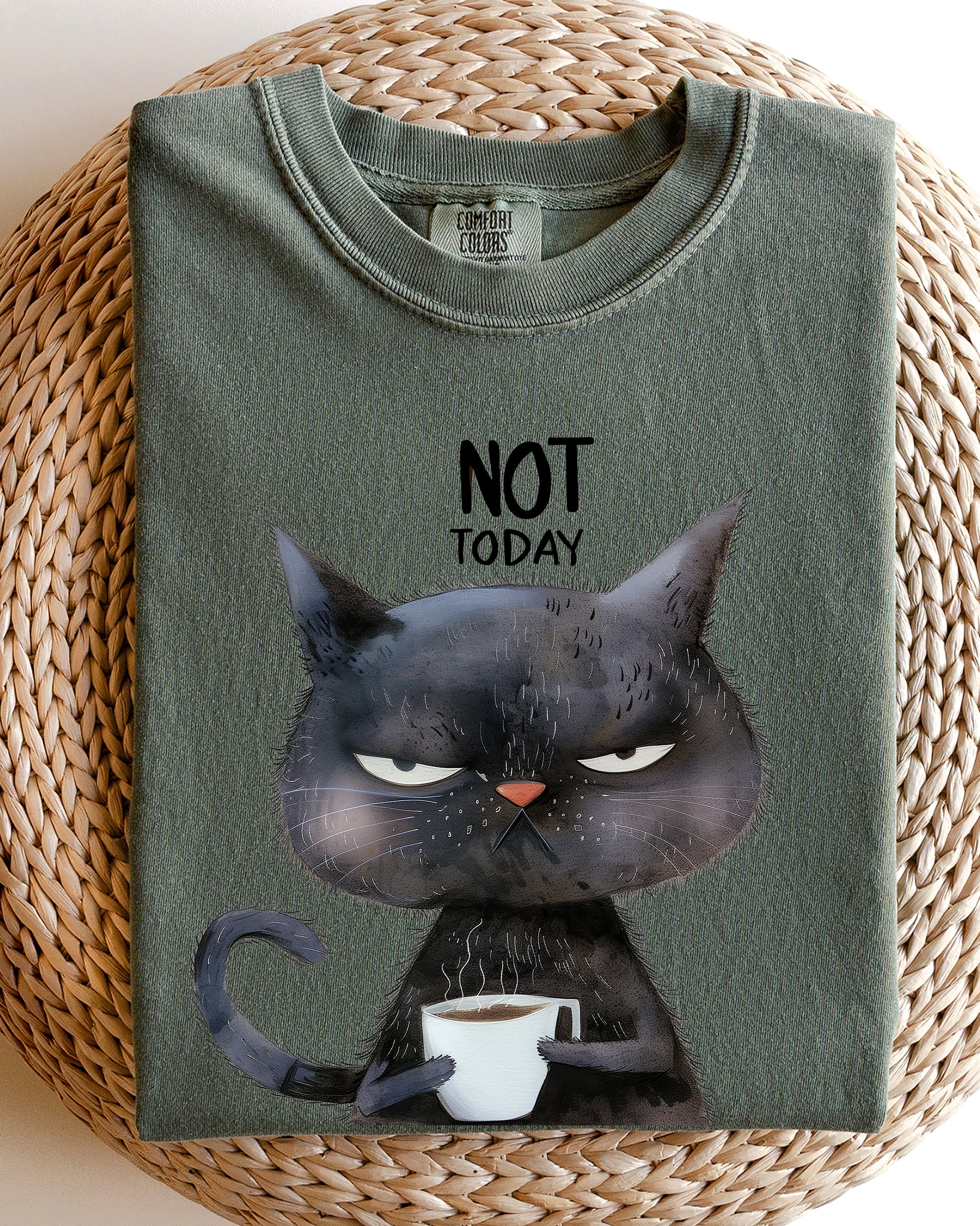 Not Today Cat Grumpy Coffee Meme Morning Mood For Slow Mornings Comfort Colors Tee