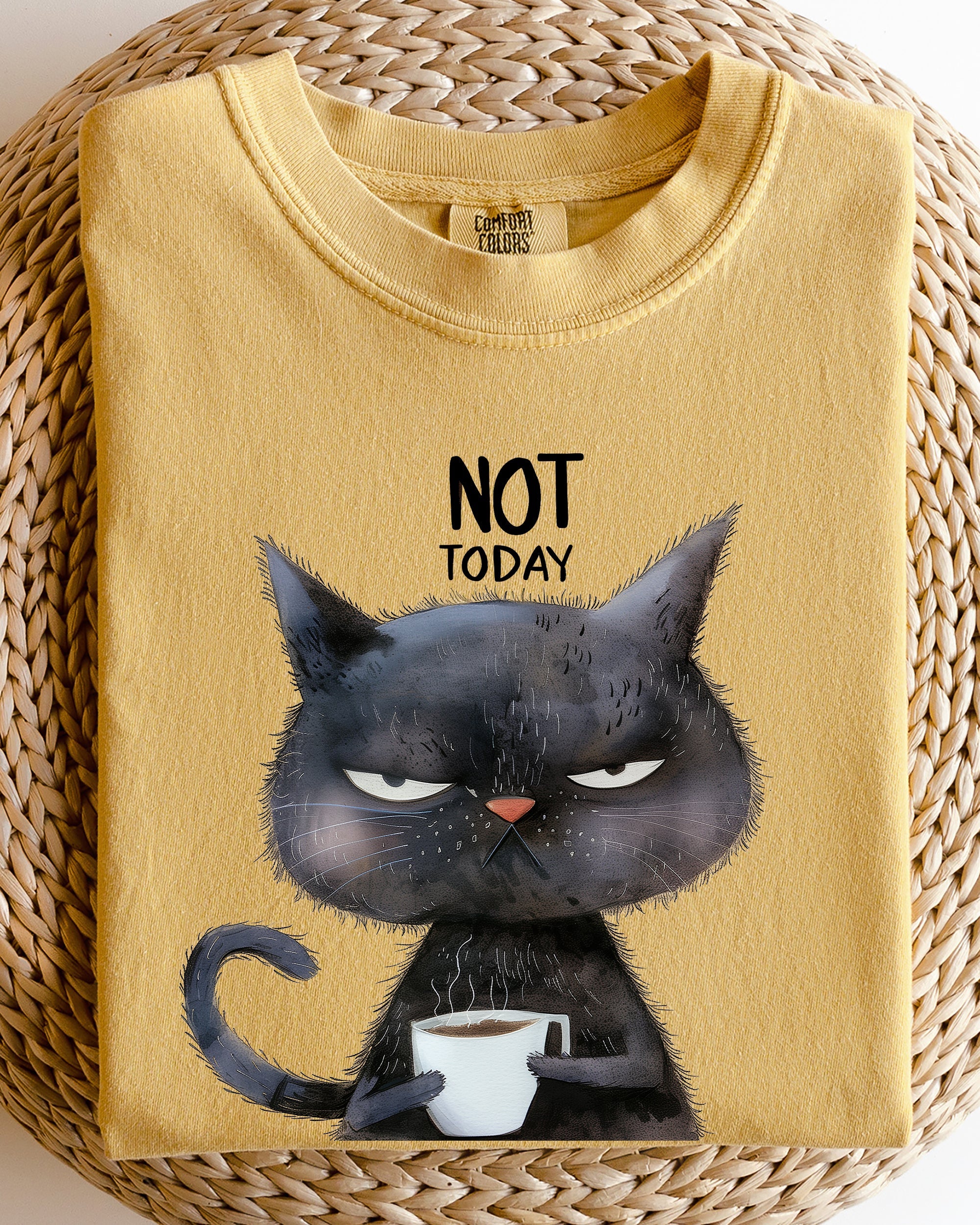Not Today Cat Grumpy Coffee Meme Morning Mood For Slow Mornings Comfort Colors Tee