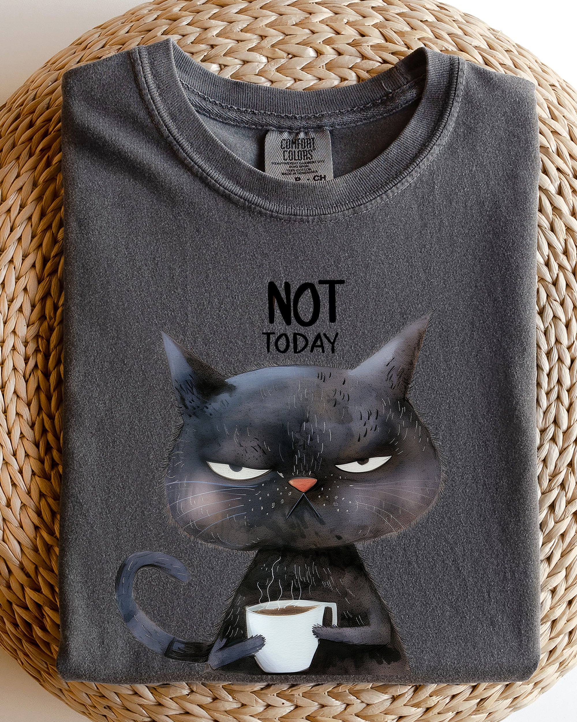Not Today Cat Grumpy Coffee Meme Morning Mood For Slow Mornings Comfort Colors Tee