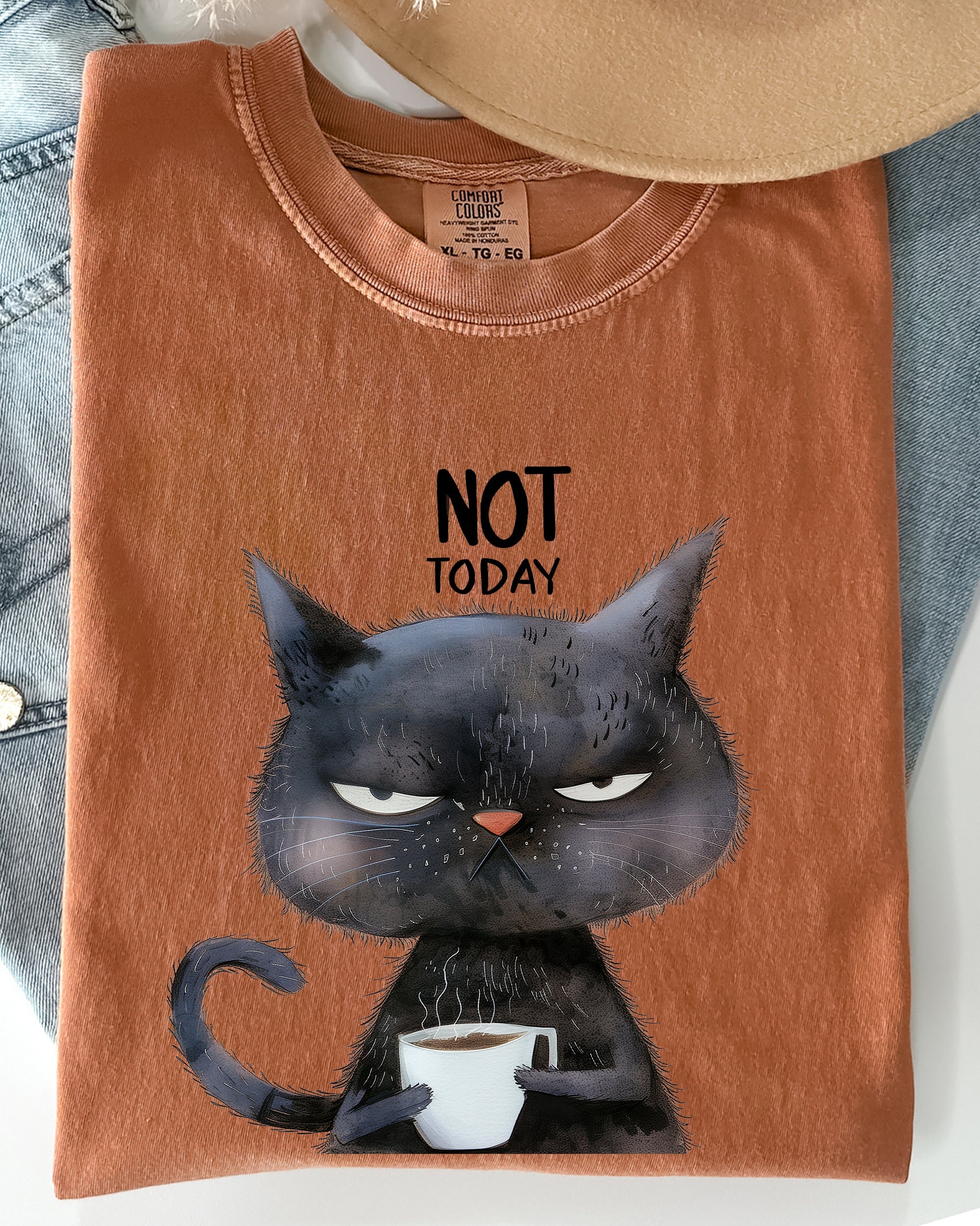 Not Today Cat Grumpy Coffee Meme Morning Mood For Slow Mornings Comfort Colors Tee