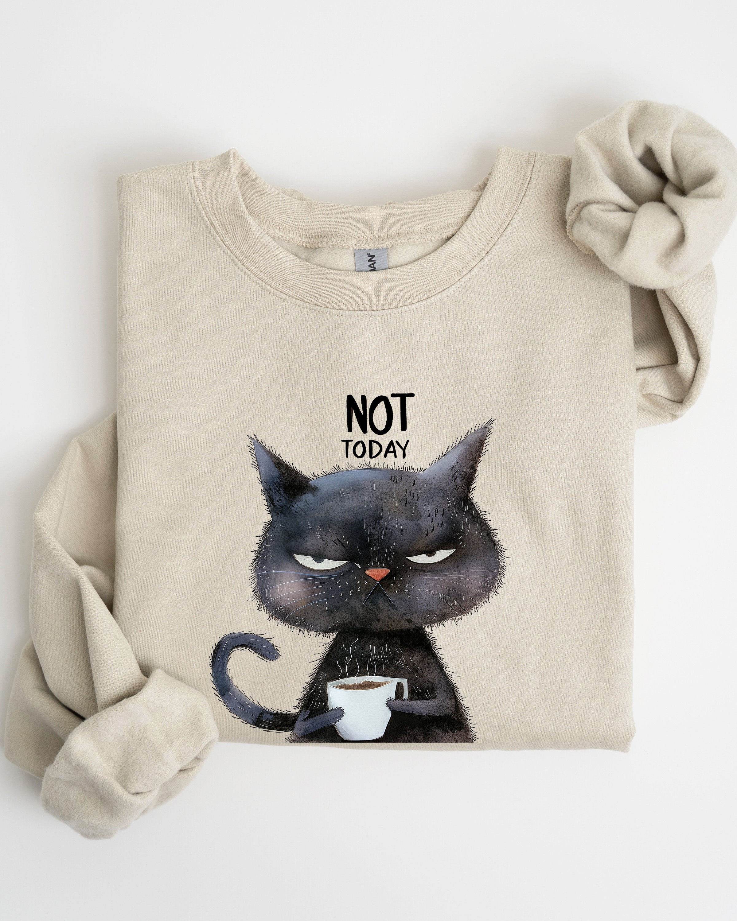 Not Today Cat Grumpy Coffee Meme Cozy Cat Lover Quote Pop Culture Graphic Sweatshirt