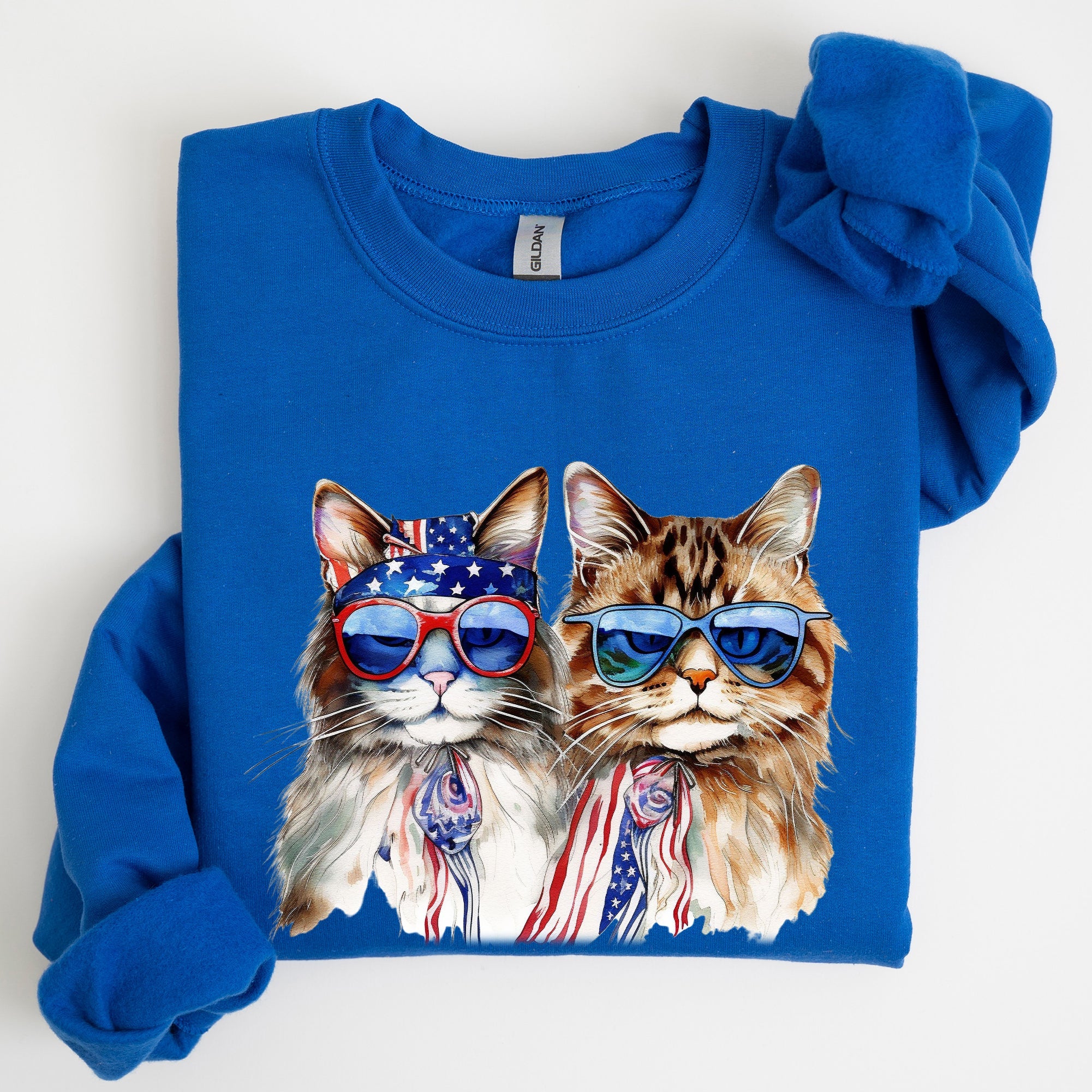Patriotic Cats Hippie 4th of July Funny Cartoon Cats Graphic All American Retro Sweatshirt