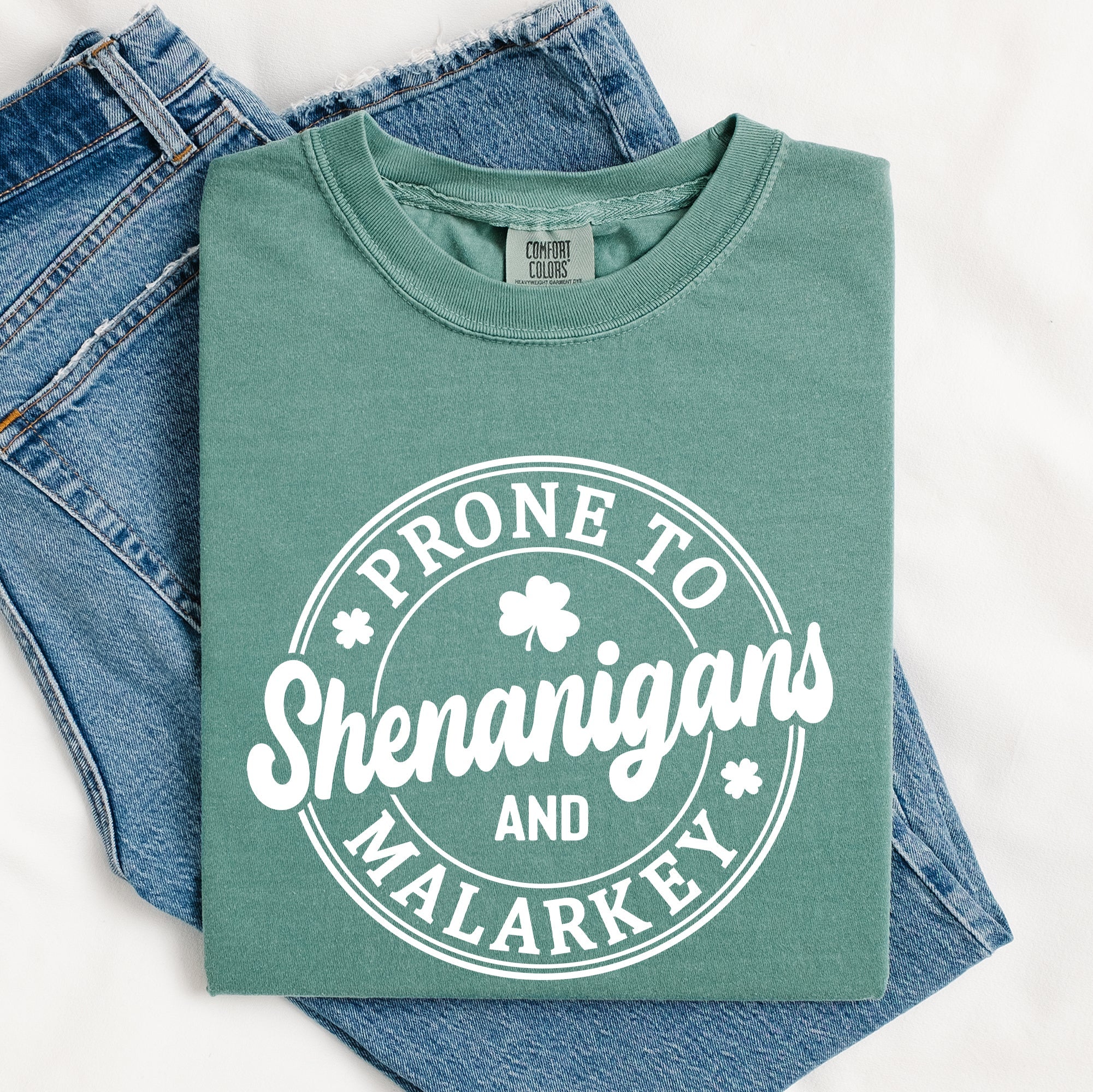 Prone To Shenanigans And Malarkey St Patrick's Day Shamrock Leprechaun Comfort Colors Tee