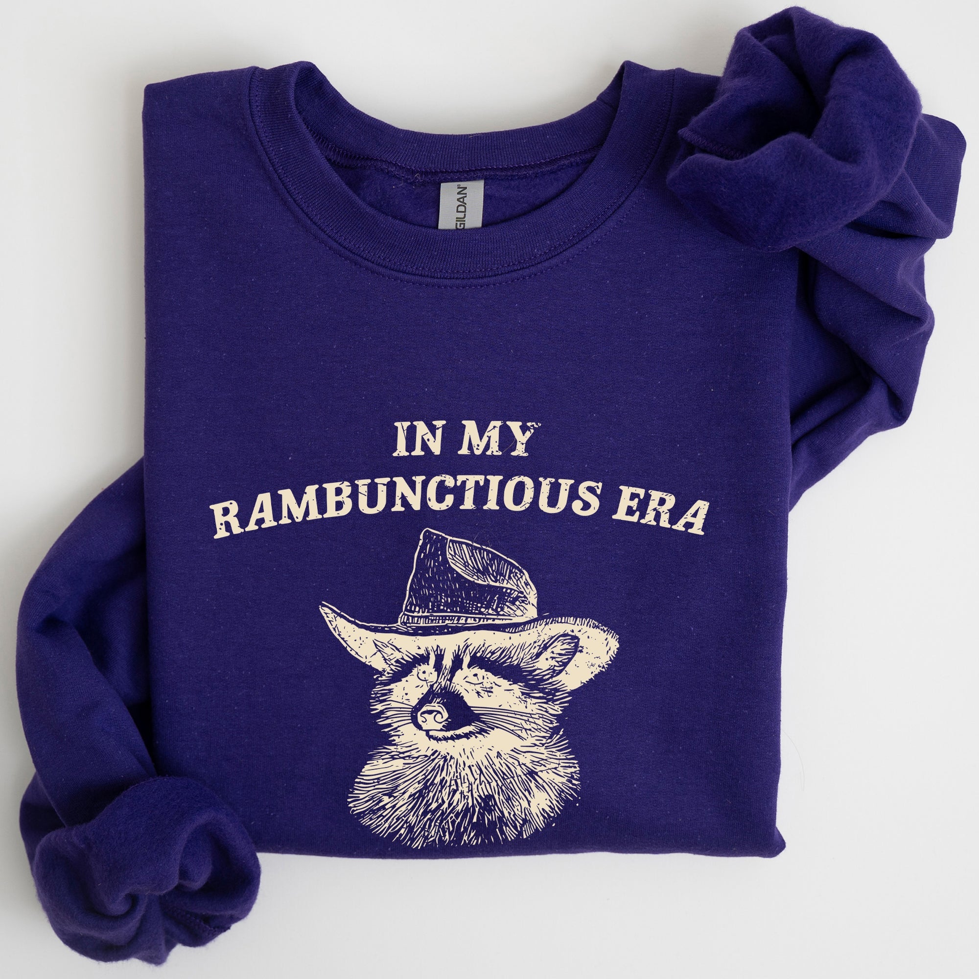 Rambunctious Era Raccoon Meme Aesthetic Funny Pop Culture Icon Cozy Fleece Edition Sweatshirt