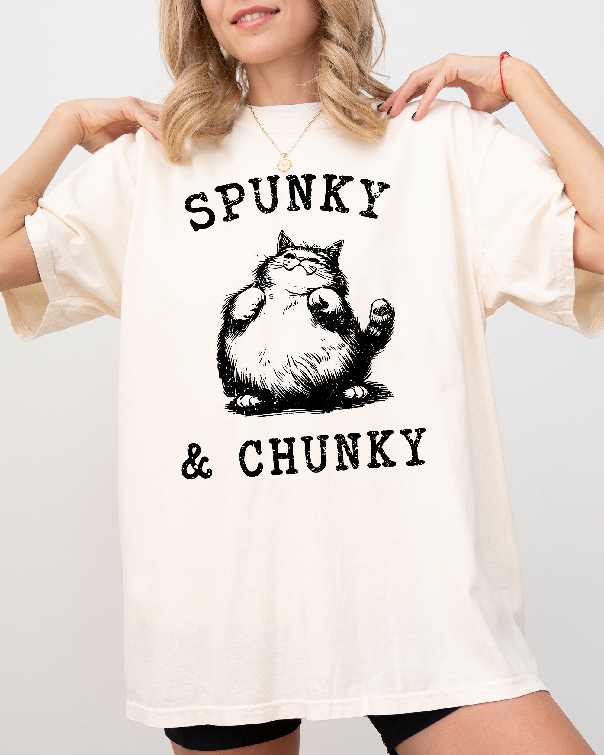 Spunky Chunky Cat Cartoon Mischief Vintage Illustration Graphic Comfort Colors Tee