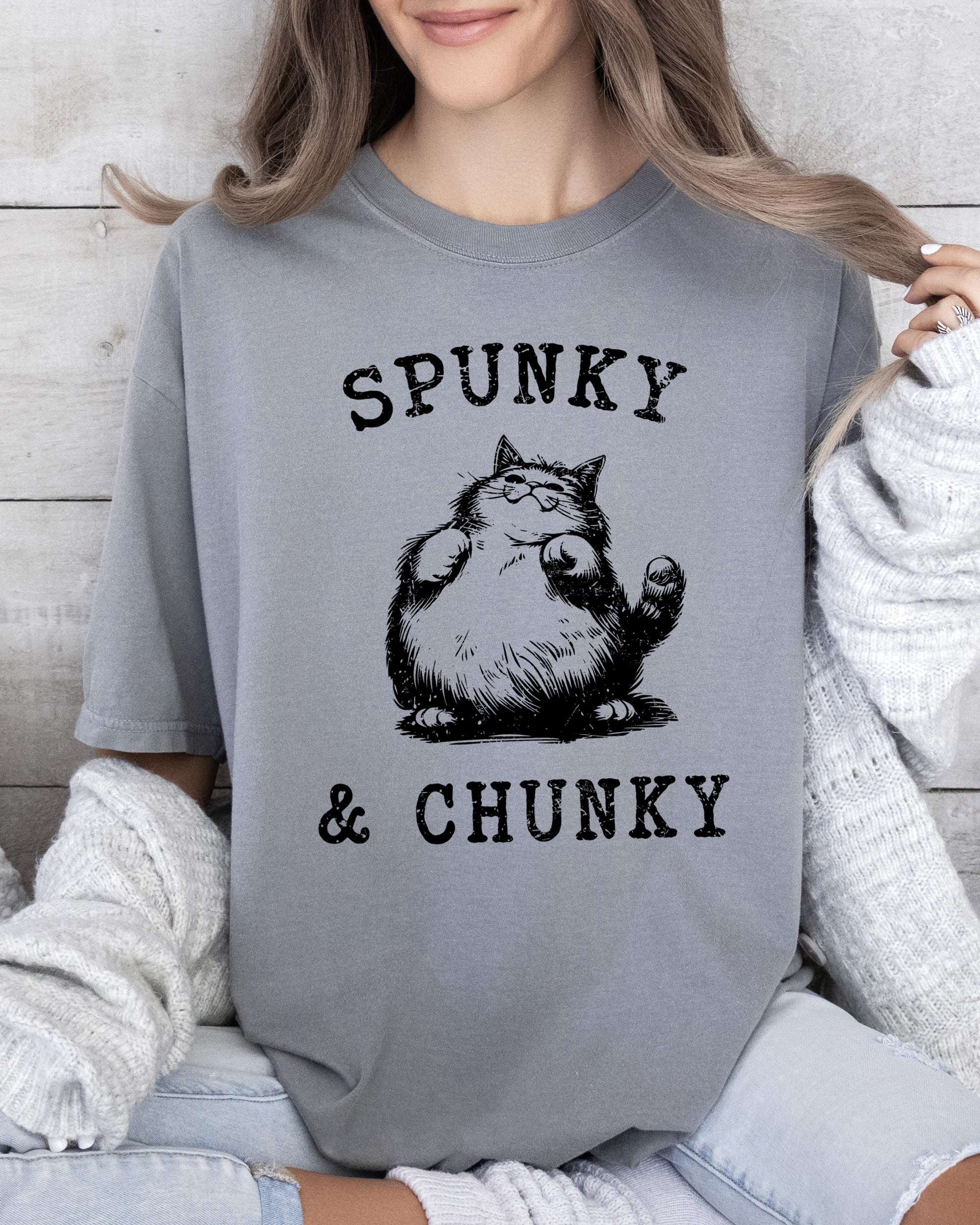 Spunky Chunky Cat Cartoon Mischief Vintage Illustration Graphic Comfort Colors Tee