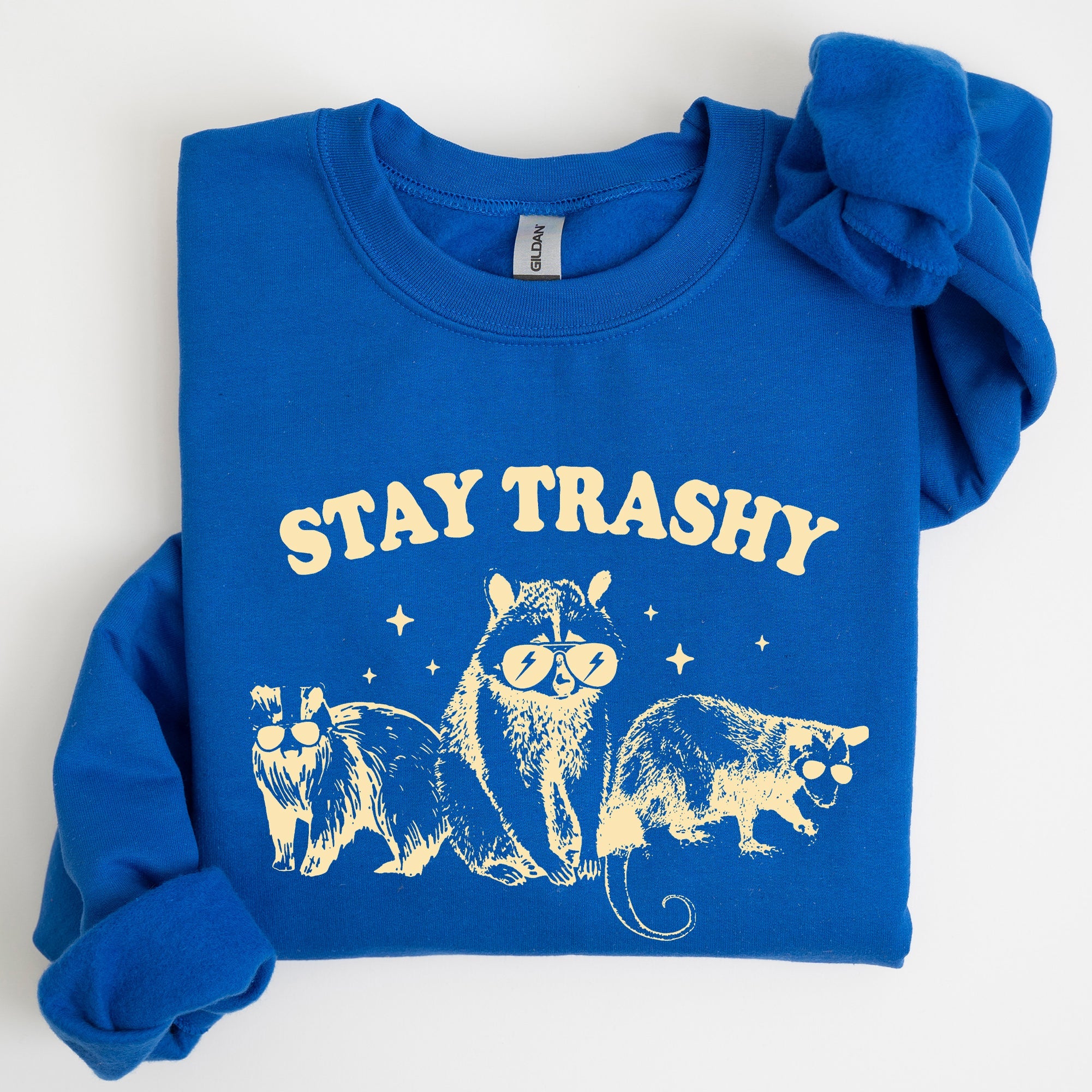 Stay Trashy Raccoon Possum Aesthetic Meme Funny Graphic Illustration Quote Pop Culture Style Sweatshirt