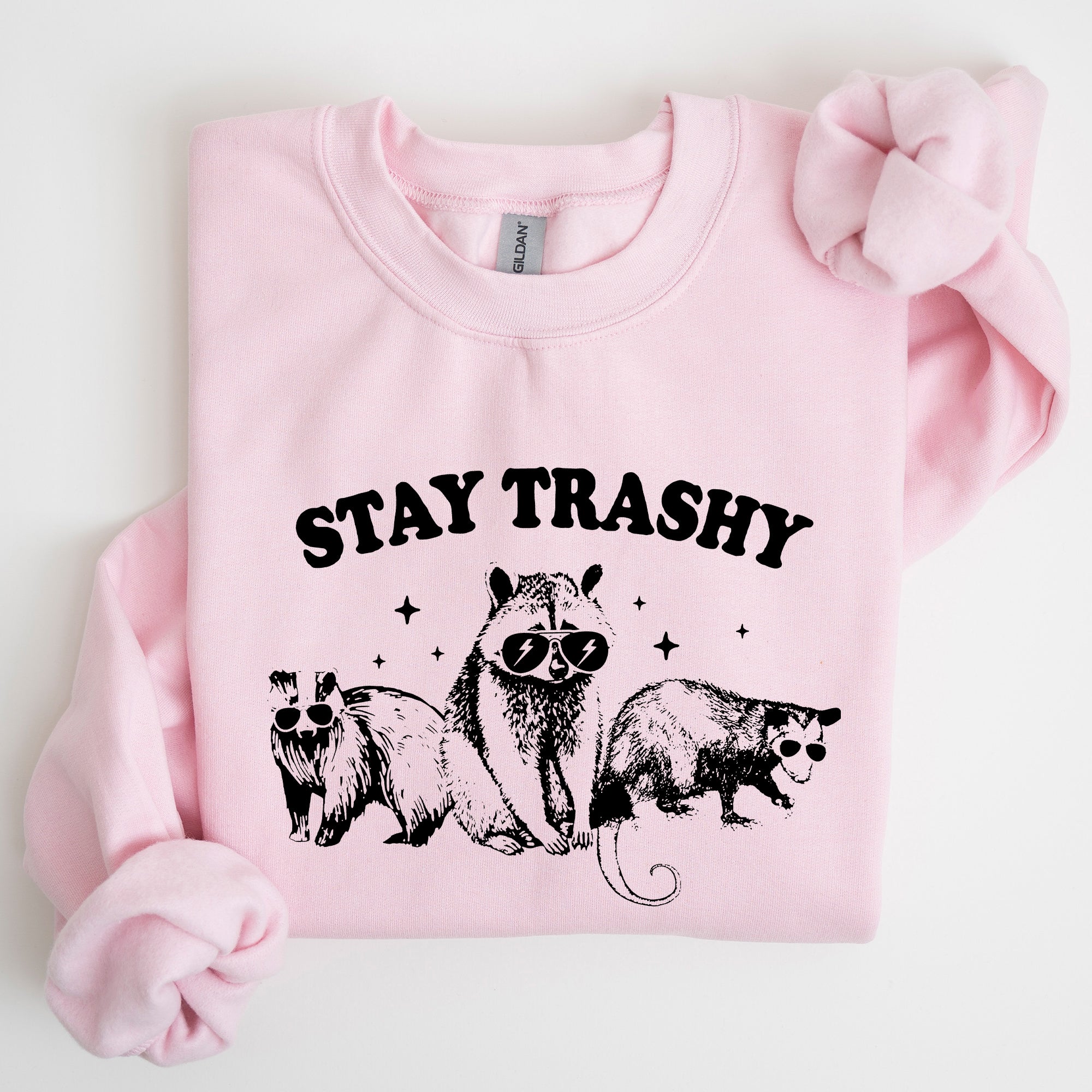 Stay Trashy Raccoon Possum Aesthetic Meme Funny Graphic Illustration Quote Pop Culture Style Sweatshirt
