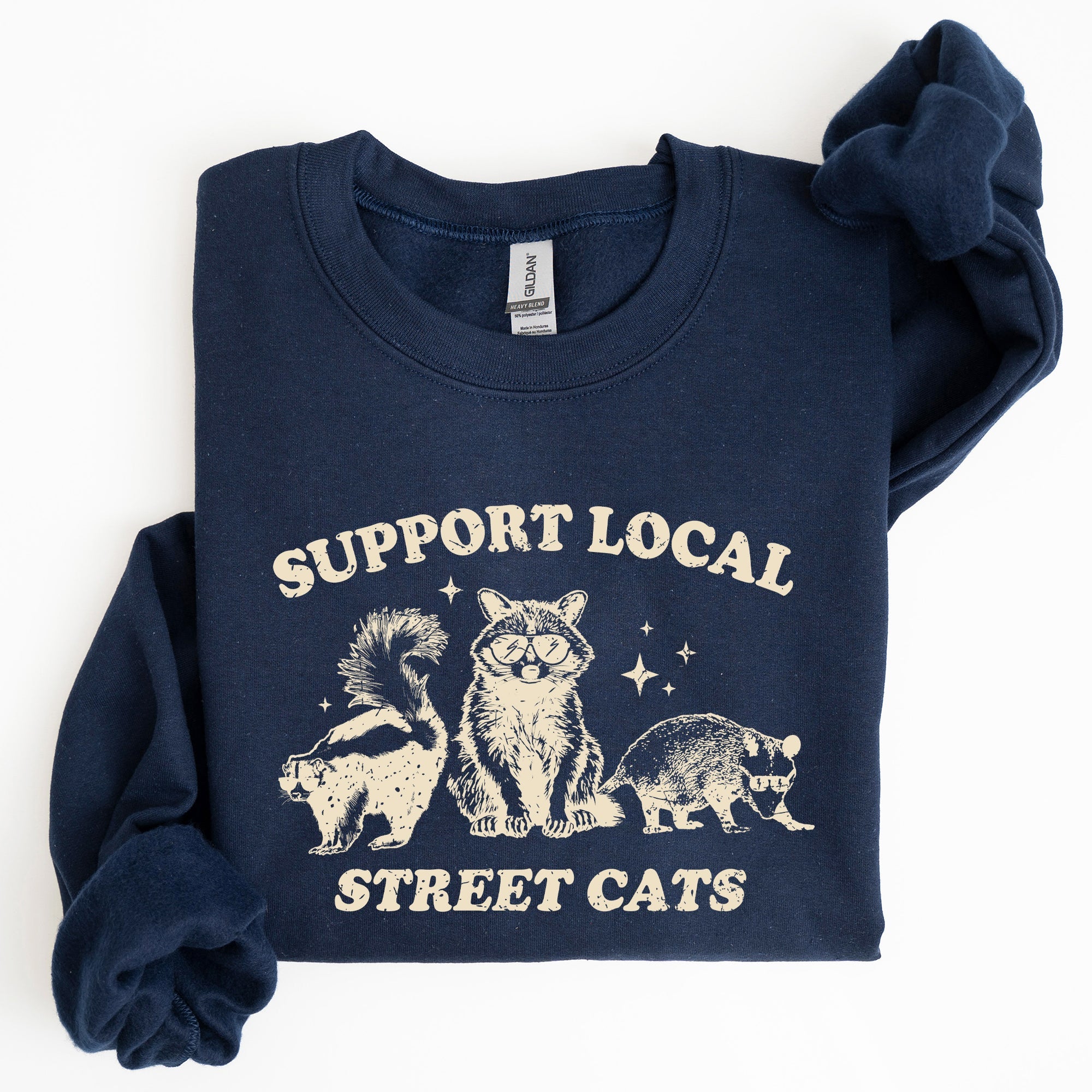 Support Local Street Cats Raccoon Skunk Possum Meme Sweatshirt For Animal Lovers