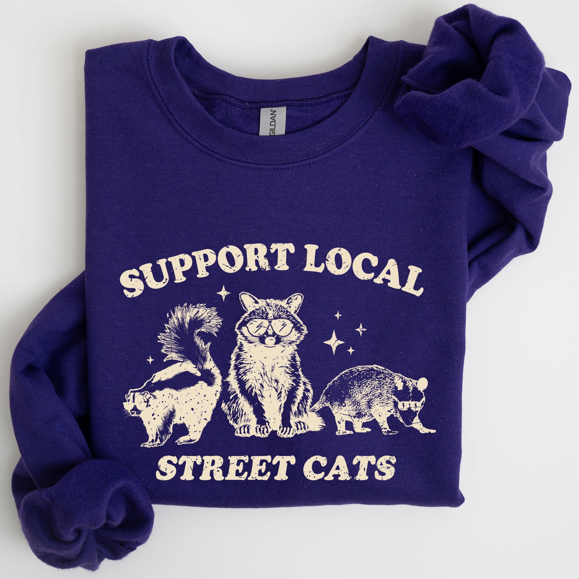 Support Local Street Cats Raccoon Skunk Possum Meme Sweatshirt For Animal Lovers