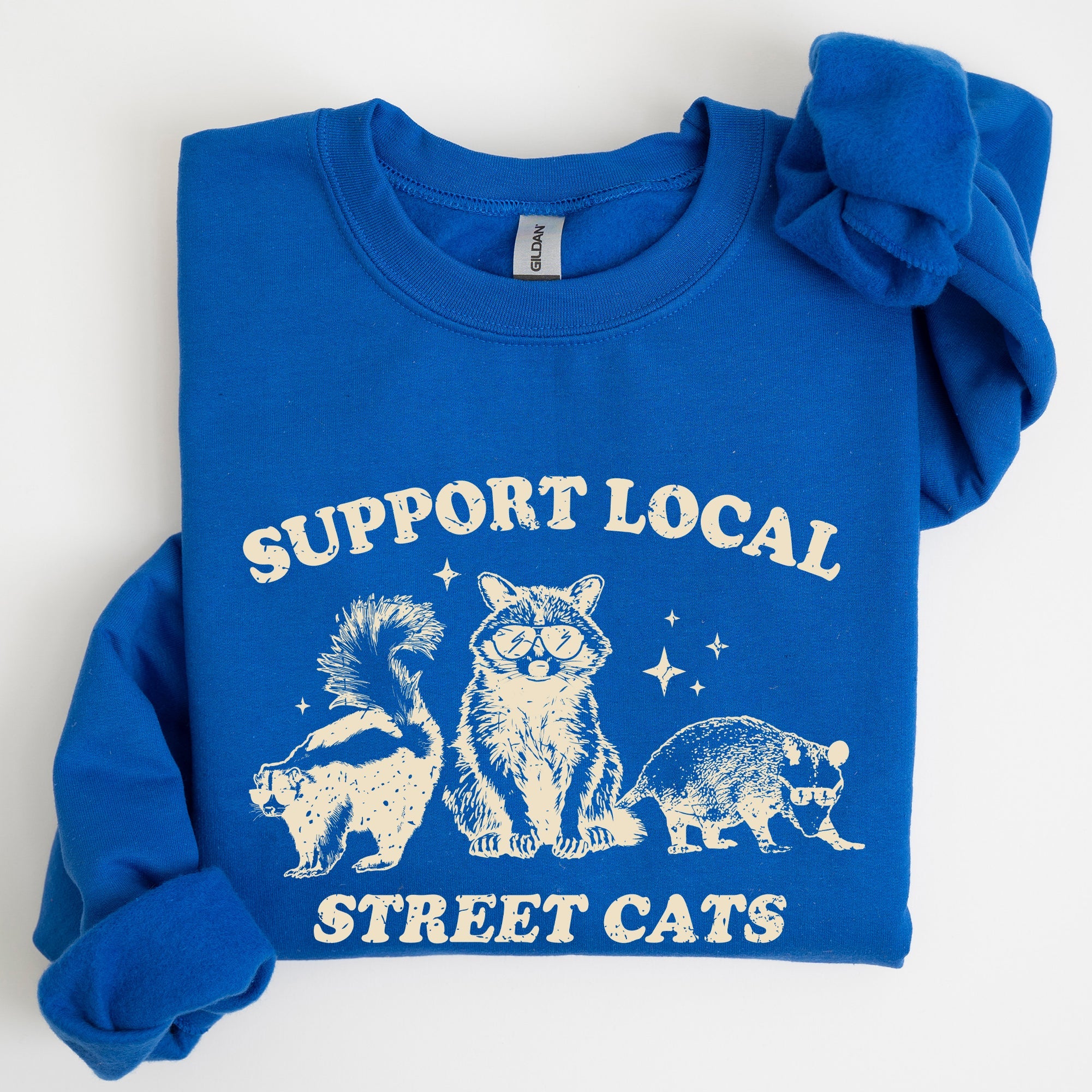 Support Local Street Cats Raccoon Skunk Possum Meme Sweatshirt For Animal Lovers