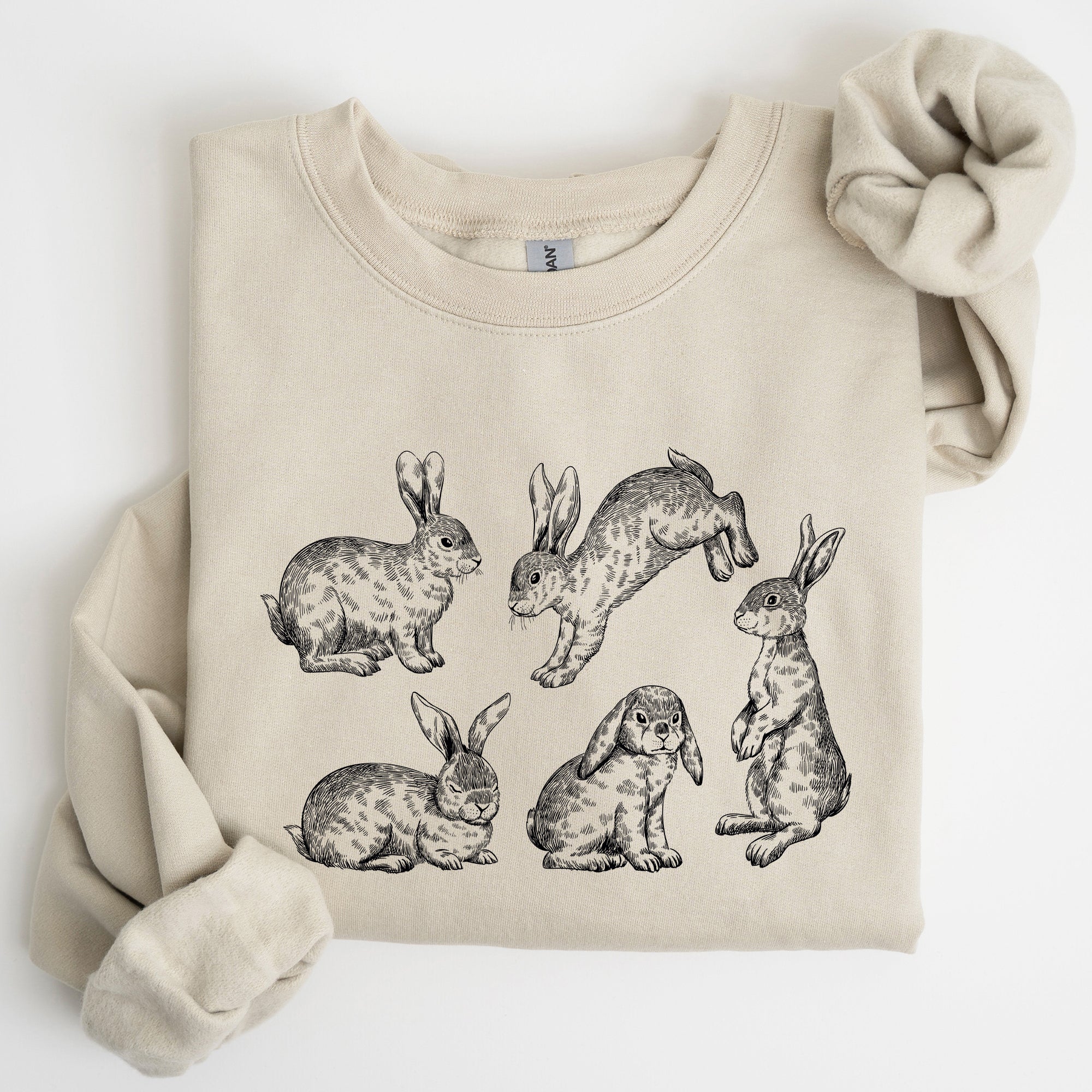 Vintage Easter Bunnies, Rabbit Illustration In Soft Vintage Print Graphic Sweatshirt