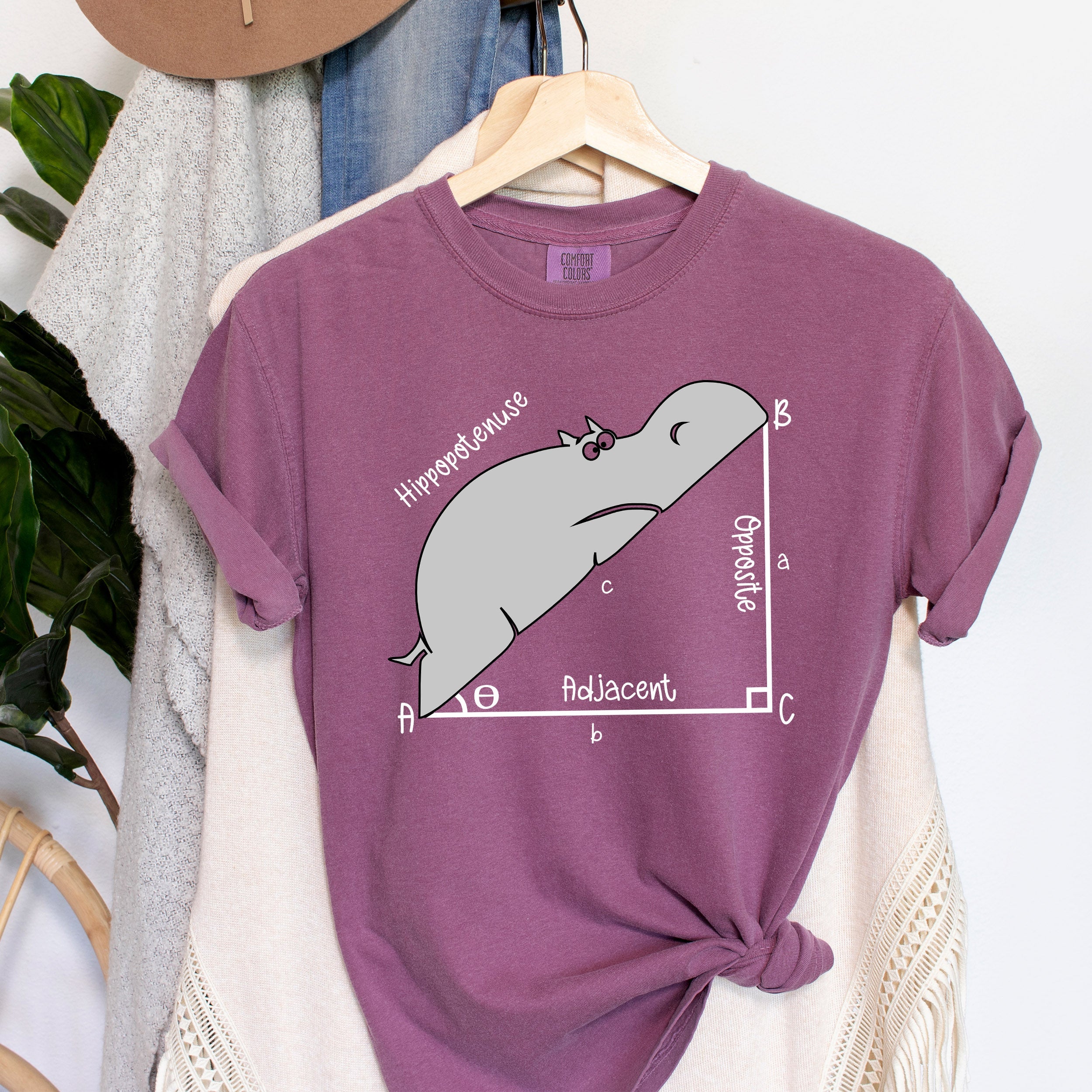 Hippopotenuse Funny Teacher Hippo Humor For Educators Classroom Comfort Colors Tee